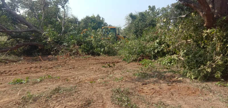  Residential Plot 2000 Sq.ft. for Sale in Chhatabar, Bhubaneswar