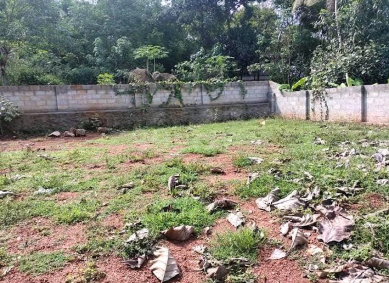  Residential Plot 10020 Sq.ft. for Sale in Marthandam, Kanyakumari