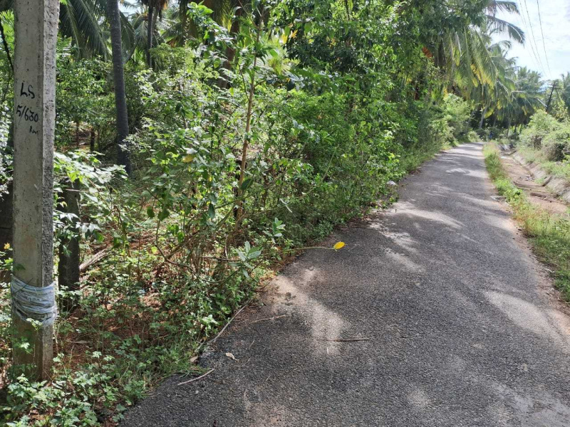  Agricultural Land 20 Sq.ft. for Sale in Agastheeswaram, Kanyakumari