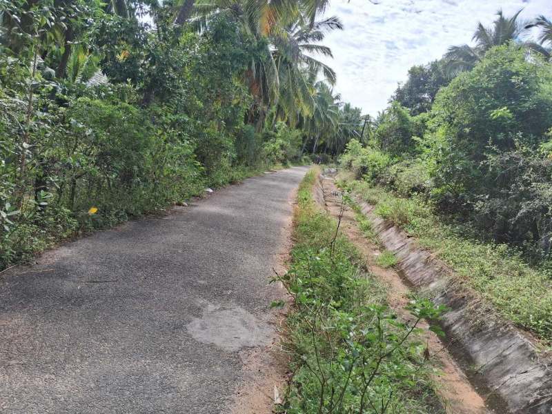  Agricultural Land 20 Sq.ft. for Sale in Agastheeswaram, Kanyakumari