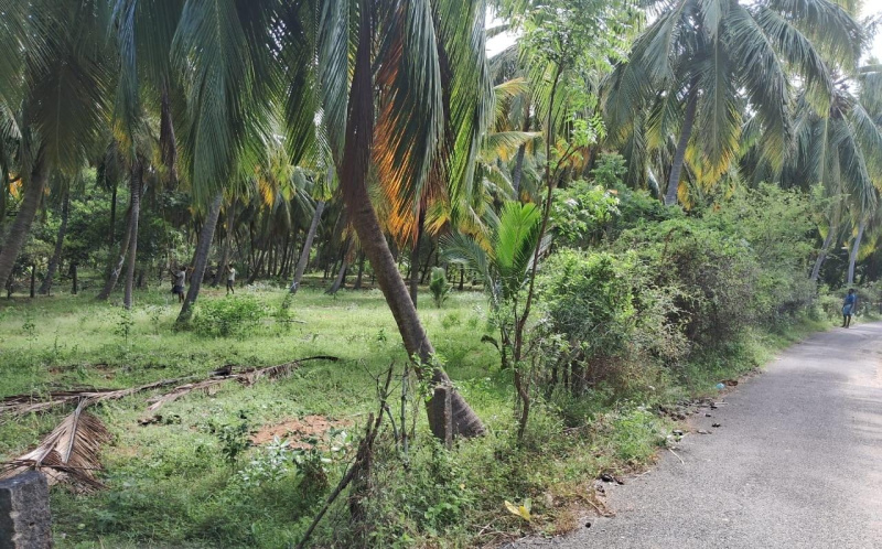  Agricultural Land 20 Sq.ft. for Sale in Agastheeswaram, Kanyakumari