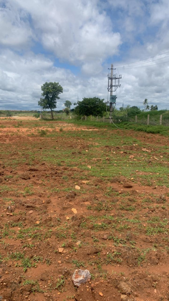  Agricultural Land 11 Acre for Sale in Hiriyur, Chitradurga