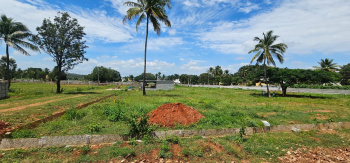  Residential Plot for Sale in Devanahalli, Bangalore