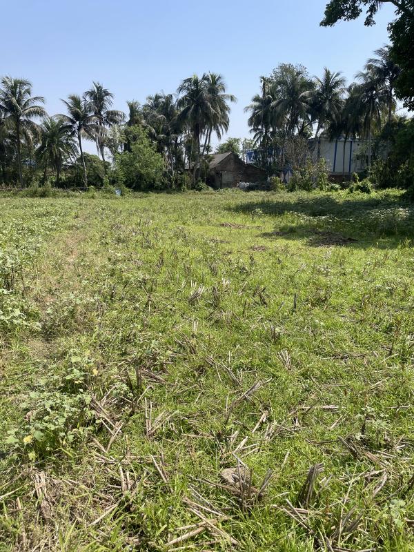  Agricultural Land 13 Katha for Sale in Uluberia, Howrah