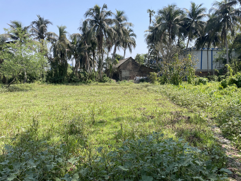  Agricultural Land 13 Katha for Sale in Uluberia, Howrah