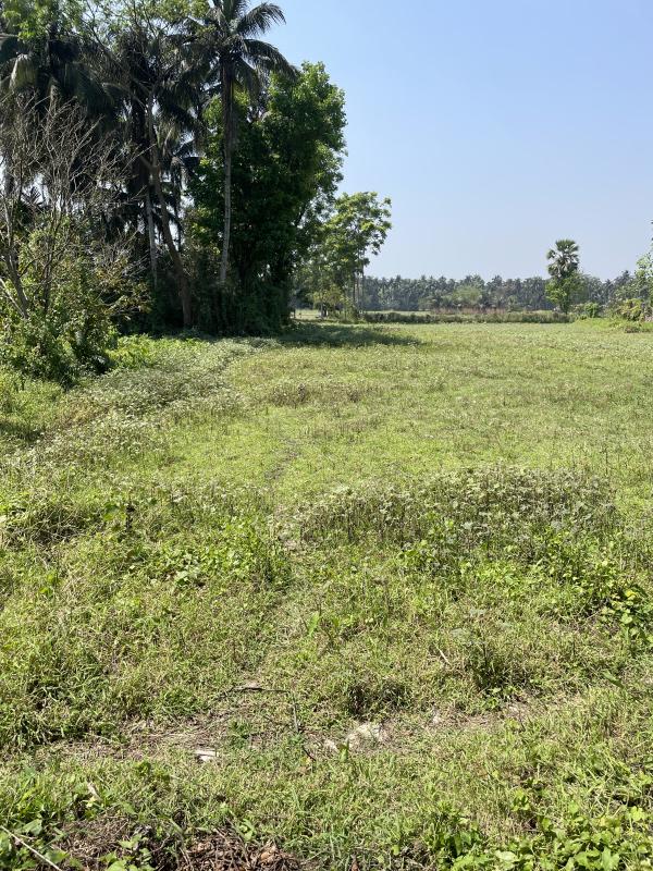  Agricultural Land 13 Katha for Sale in Uluberia, Howrah