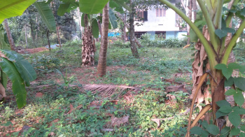  Residential Plot for Sale in Payyoli, Kozhikode