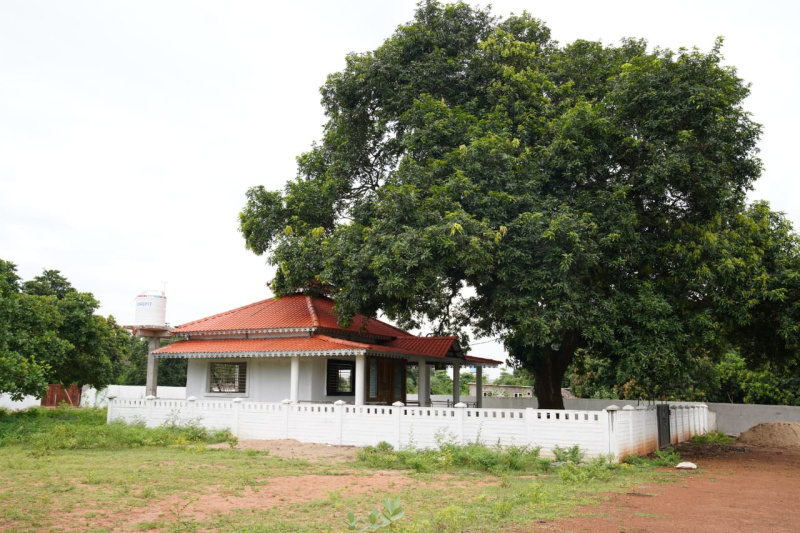 1 BHK Farm House 11 Cent for Sale in Pidimgoyya, Rajahmundry