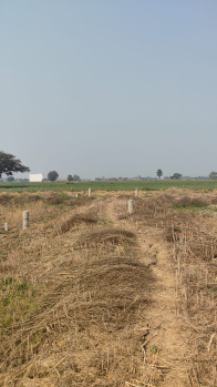  Residential Plot for Sale in Sampatchak, Patna