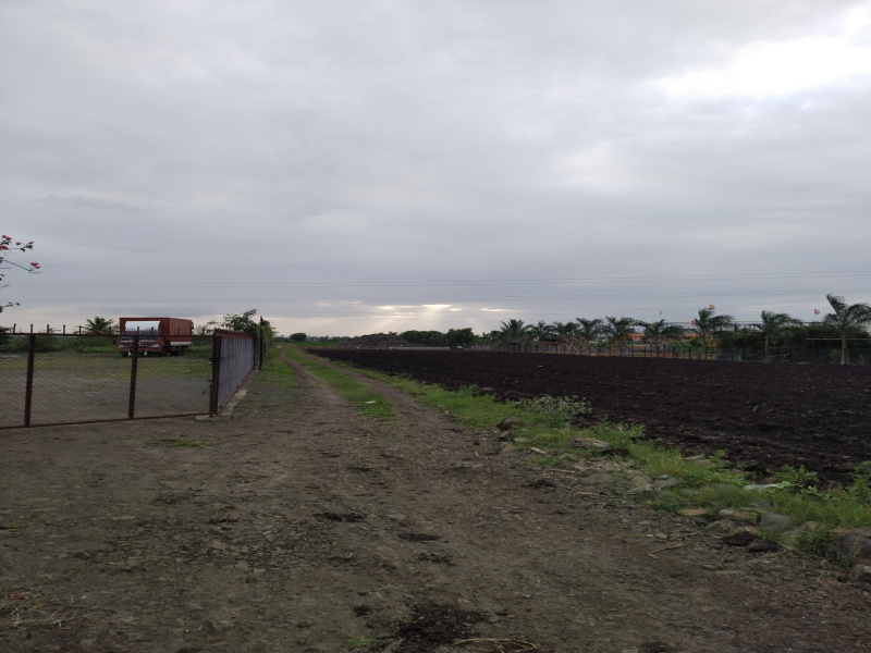  Agricultural Land 20000 Sq.ft. for Rent in Theur Road, Pune