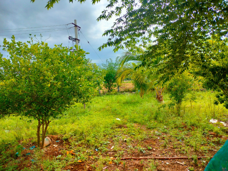  Agricultural Land 2 Acre for Sale in Hindupur, Anantapur