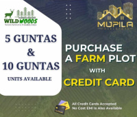  Residential Plot for Sale in Narayankhed, Sangareddy