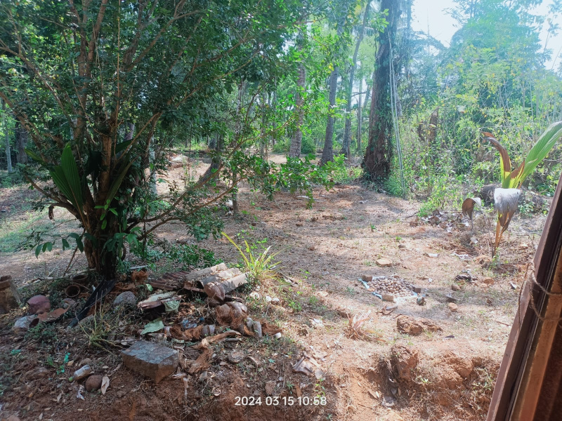  Agricultural Land 1000 Sq. Yards for Sale in North Goa