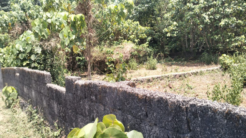  Residential Plot 6 Cent for Sale in Thrippunithura, Ernakulam