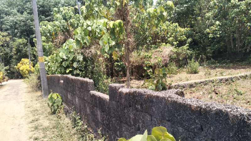  Residential Plot 6 Cent for Sale in Thrippunithura, Ernakulam