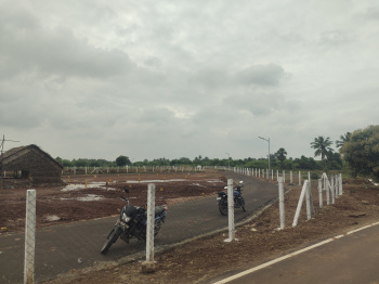  Residential Plot for Sale in Vandavasi, Tiruvannamalai