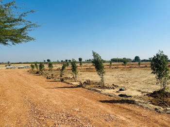  Agricultural Land for Sale in Chaksu, Jaipur
