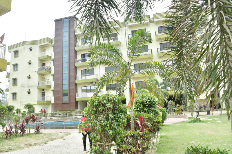  Business Center 945 Sq.ft. for Sale in Forbesganj, Araria
