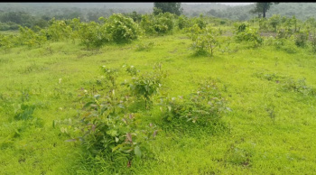  Agricultural Land for Sale in Neral, Raigad