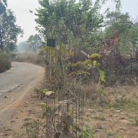 Residential Plot for Sale in Neral, Raigad