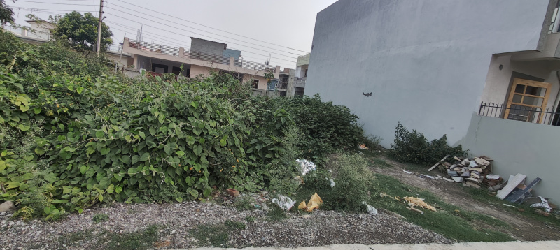  Residential Plot 5324 Sq.ft. for Sale in Sahastradhara Road, Dehradun