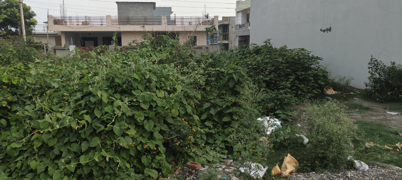  Residential Plot 5324 Sq.ft. for Sale in Sahastradhara Road, Dehradun