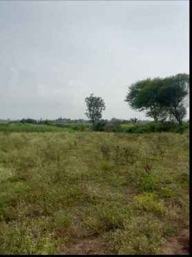  Residential Plot 5 Acre for Sale in Chakan, Pune