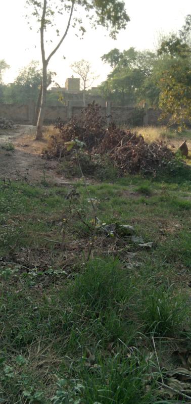  Residential Plot 28 Dismil for Sale in Bhabua, Kaimur