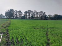  Commercial Land for Sale in Bhedaghat, Jabalpur