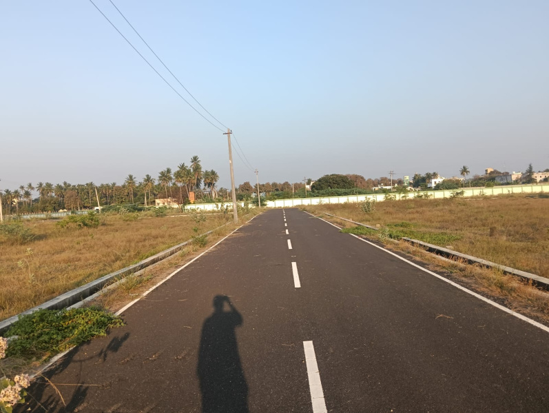  1650 Sq.ft. Residential Plot for Sale in Panjapur, Tiruchirappalli