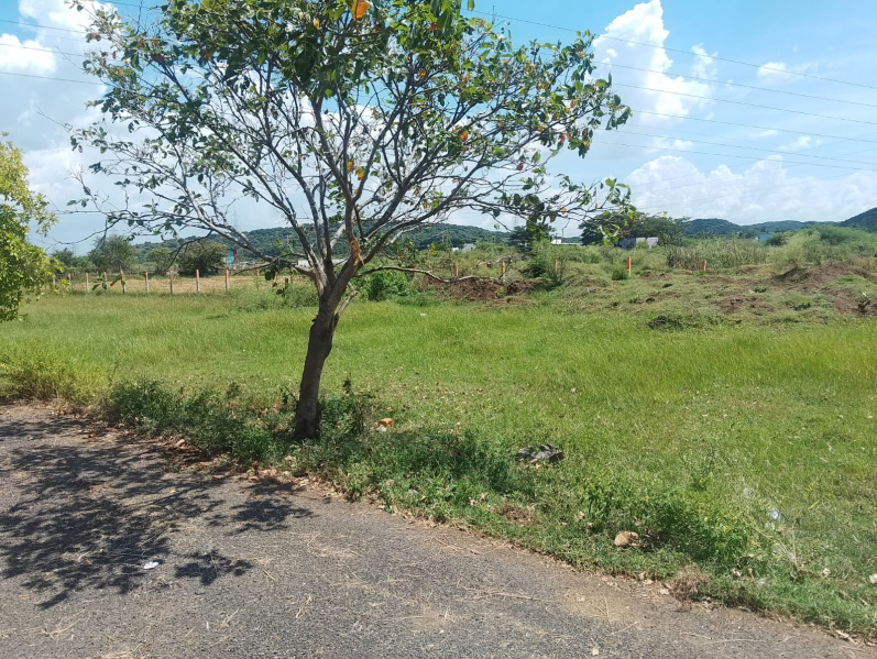  1000 Sq.ft. Residential Plot for Sale in Singaperumalkoil, Kanchipuram