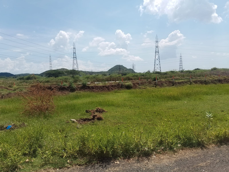  1000 Sq.ft. Residential Plot for Sale in Singaperumalkoil, Kanchipuram