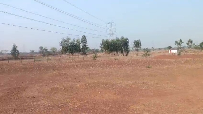  Agricultural Land 6 Acre for Sale in Kumhari, Durg
