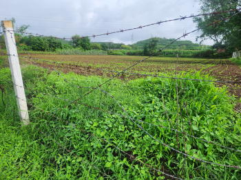  Agricultural Land for Sale in Nashik Road