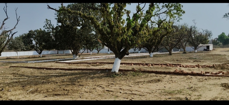  Residential Plot 1200 Sq.ft. for Sale in Bihta, Patna