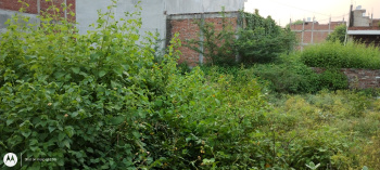  Residential Plot for Sale in Mandhana, Kanpur