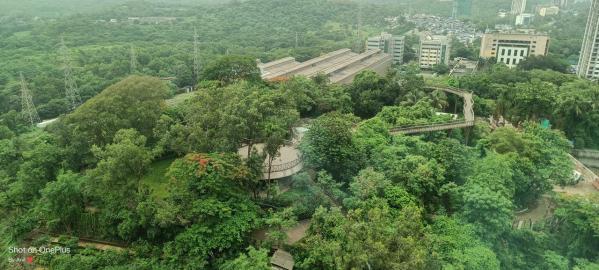2 BHK Builder Floor 715 Sq.ft. for Sale in Powai, Mumbai