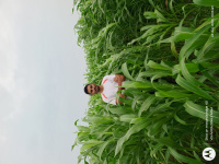  Agricultural Land for Sale in Ahmedabad Rajkot Highway, Surendranagar