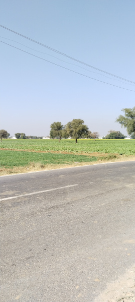  Residential Plot 6050 Sq. Yards for Sale in NH 8, Behror