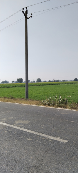  Residential Plot 6050 Sq. Yards for Sale in NH 8, Behror