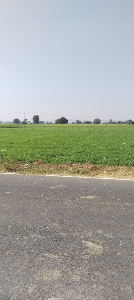  Residential Plot 6050 Sq. Yards for Sale in NH 8, Behror