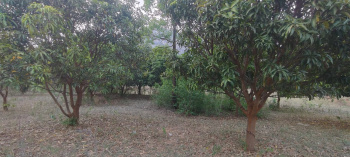  Agricultural Land for Sale in Bhawanipatna, Kalahandi