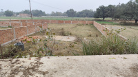 Agricultural Land for Sale in Laxmisagar, Darbhanga