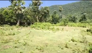 Residential Plot for Sale in Bhogapuram, Visakhapatnam