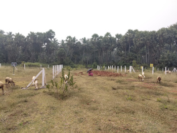  Residential Plot for Sale in Bhogapuram, Visakhapatnam