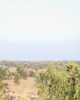  Commercial Land for Sale in Bhogapuram, Vizianagaram