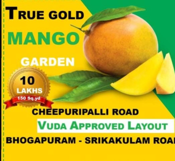  Residential Plot for Sale in Chintalavalasa, Vizianagaram