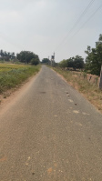  Agricultural Land for Sale in Uppidamangalam, Karur