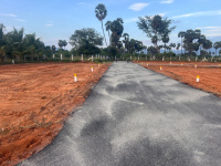  Residential Plot for Sale in Chatrapatti, Madurai