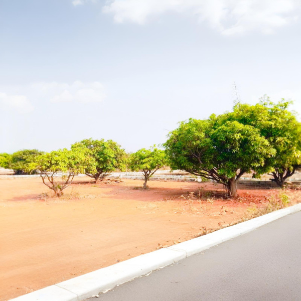 Residential Plot 2400 Sq.ft. for Sale in Shoolagiri, Hosur